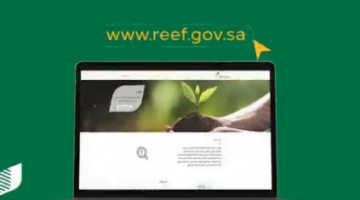 التقديم في منصة ريف 2021 Reef في السعودية