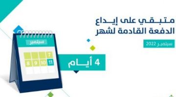 المواطن يعلن 4 أيام تفصلنا عن صرف دعم الدفعة الجديدة 58