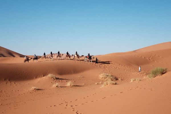 دغيثر من أي قبيلة؟ وأين تتواجد عائلة الدغيثر؟