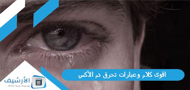 كلام وعبارات تحرق دم الأكس