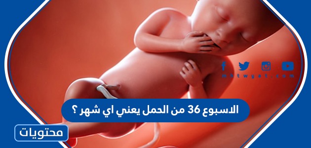 36 من الحمل يعني اي شهر ؟