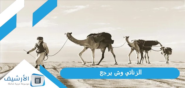 وش يرجع؟ ما شجرة عائلة الزناتي؟