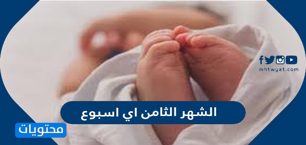 الثامن اي اسبوع