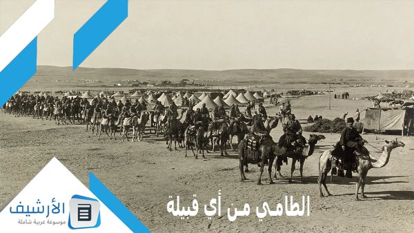 من أي قبيلة؟ وما موطن عائلة الطامي؟