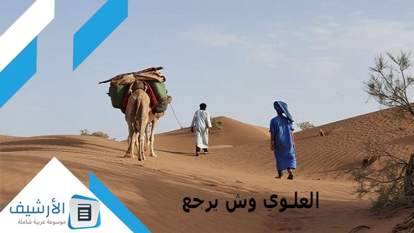 وش يرجع؟ وما أصل عائلة العلوي؟