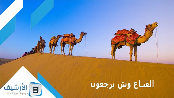 وش يرجعون؟ وما هو أصل عائلة القباع؟