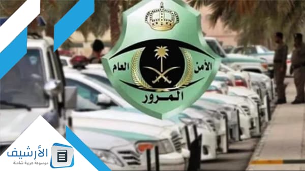 التي لا يسري عليها الحجز والتنفيذ المباشر