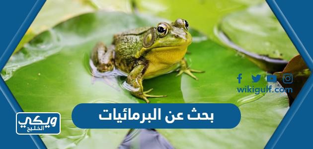 عن البرمائيات مختصر مع المصادر والمراجع Pdf