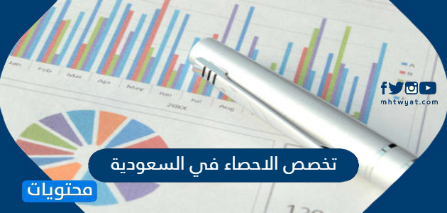 الاحصاء في السعودية معلومات التخصص والمجالات