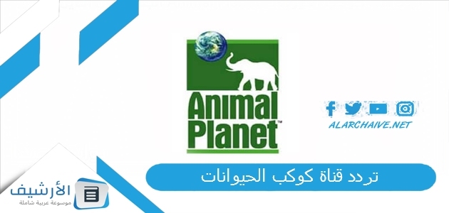 قناة كوكب الحيوانات Animal Planet الجديد 2023 على جميع الأقمار