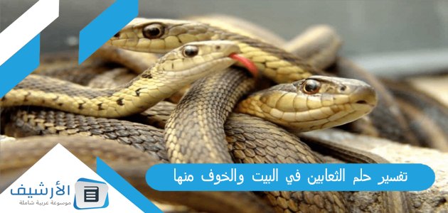 حلم الثعابين في البيت والخوف منها