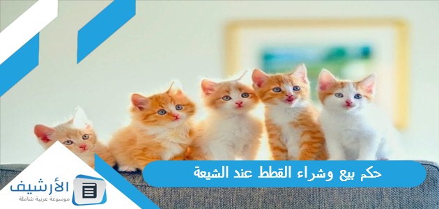 بيع وشراء القطط عند الشيعة