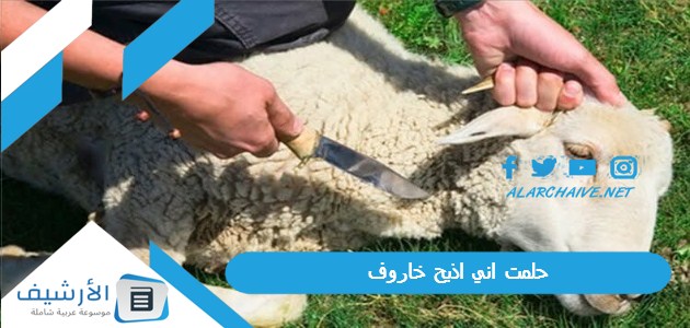 اني اذبح خاروف ما هو تفسير هذا الحلم؟