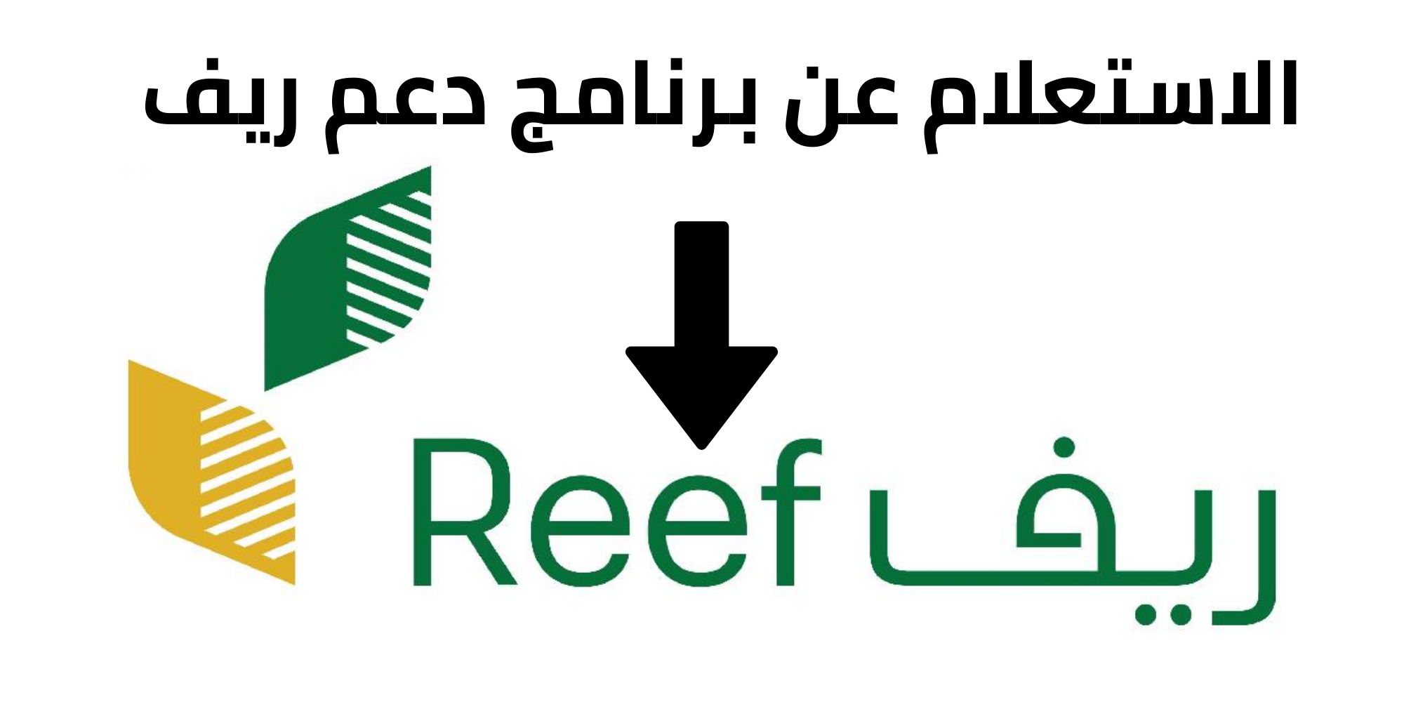 الاستعلام عن دعم ريف برقم الهوية 1445 متي ينزل