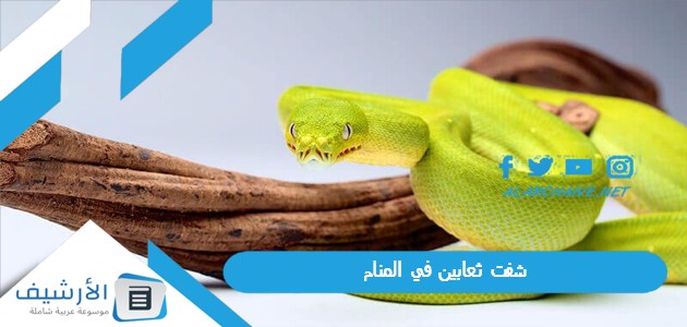 ثعابين في المنام ما هو تفسير هذا الحلم؟