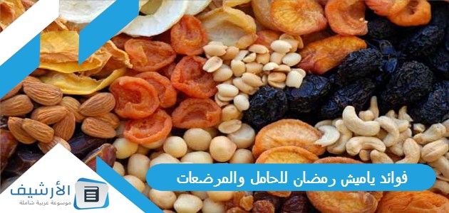 ياميش رمضان للحامل والمرضعات