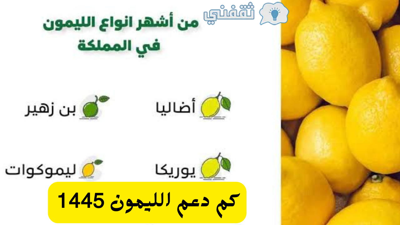 دعم الليمون في ريف والشروط المطلوبة 1445 كم حد