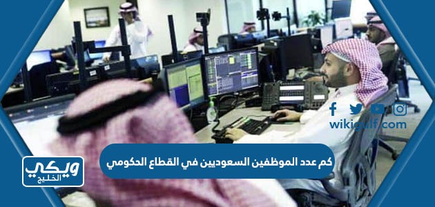 عدد الموظفين السعوديين في القطاع الحكومي 2024