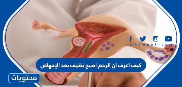 اعرف ان الرحم اصبح نظيف بعد الإجهاض