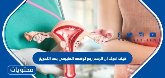 اعرف ان الرحم رجع لوضعه الطبيعي بعد التمريخ