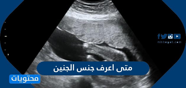 أعرف جنس الجنين وما هي الطرق المبكرة للتعرف على