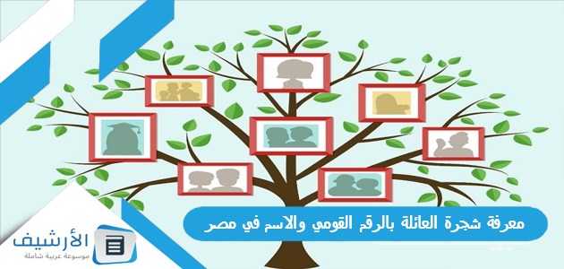 شجرة العائلة بالرقم القومي والاسم في مصر من دار