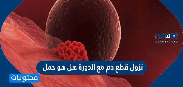 قطع دم مع الدورة هل هو حمل