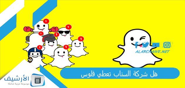 شركة السناب تعطي فلوس؟ افضل طرق الربح من سناب