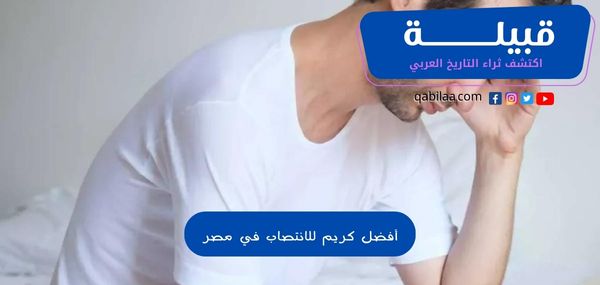 1696828748 اكتشف ثراء التاريخ العربي 66