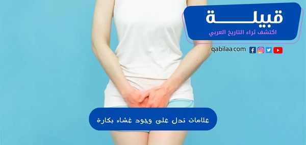 1696842074 اكتشف ثراء التاريخ العربي 35