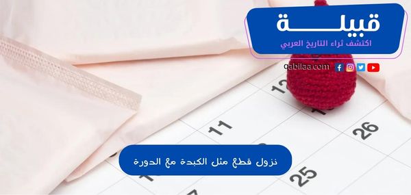 1696847112 اكتشف ثراء التاريخ العربي 43