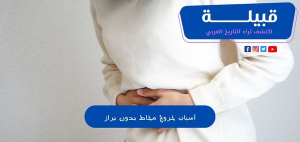 1696864511 اكتشف ثراء التاريخ العربي 21