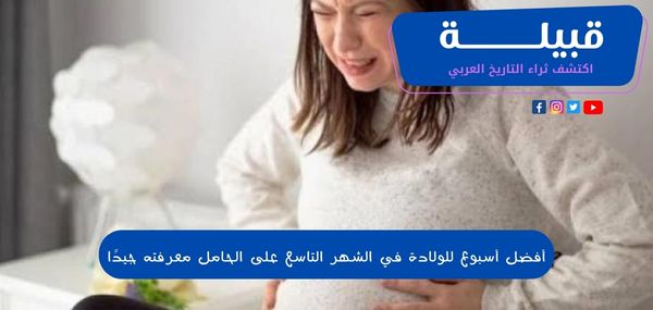 1696867936 اكتشف ثراء التاريخ العربي 17