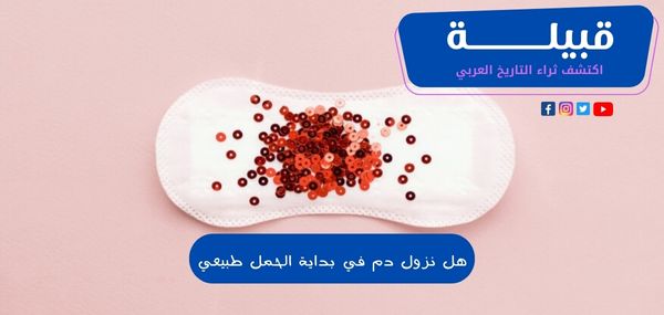 1696871295 اكتشف ثراء التاريخ العربي 9