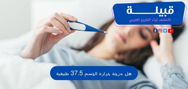 1696872253 اكتشف ثراء التاريخ العربي 6