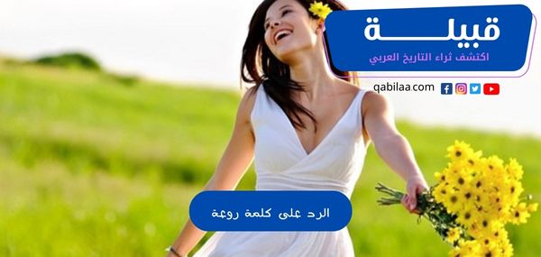 1696954155 اكتشف ثراء التاريخ العربي 10