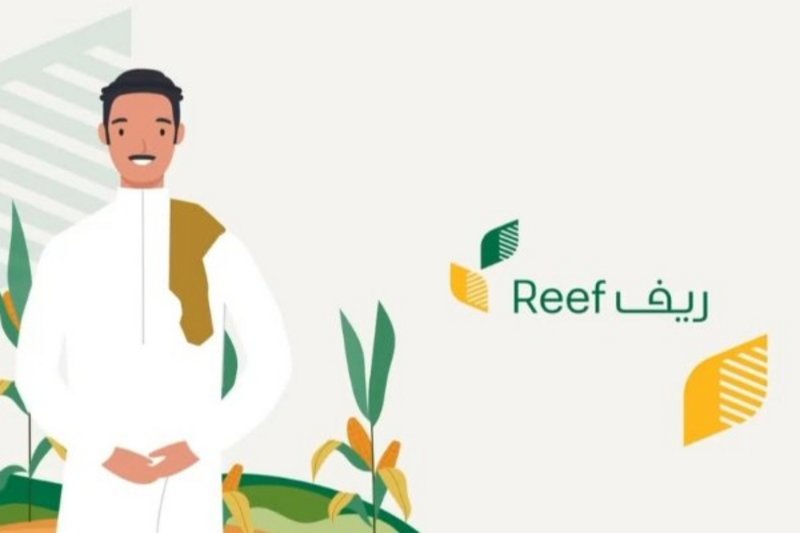 Reefgovsa رابط تسجيل دخول دعم ريف النفاذ الوطني برقم الهوية