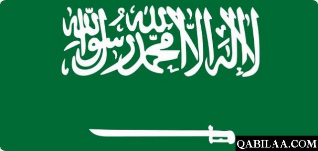 عن السعودية4