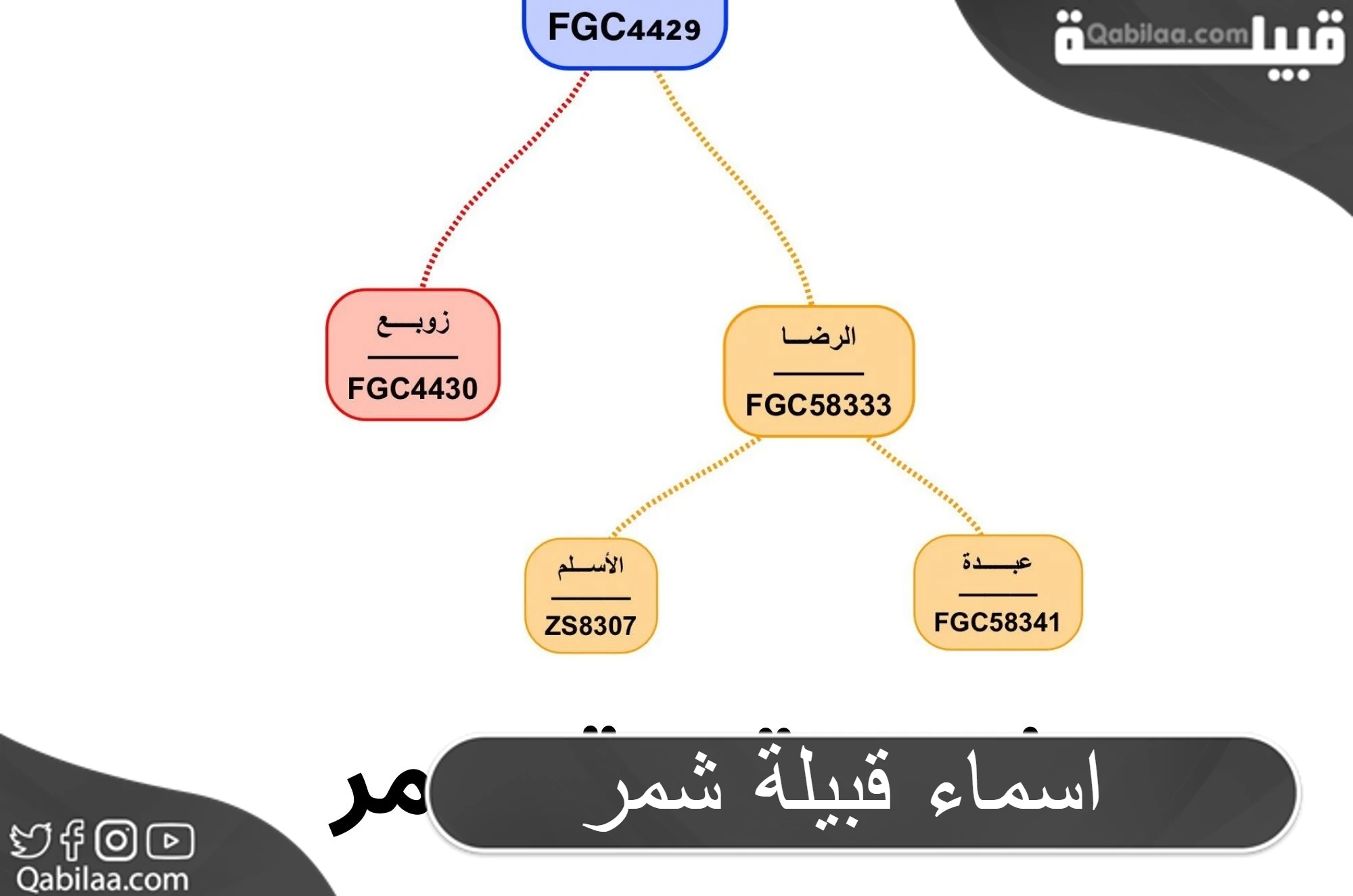 قبيلة شمر