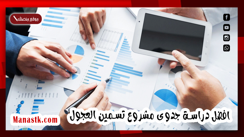 دراسة جدوى مشروع تسمين العجول