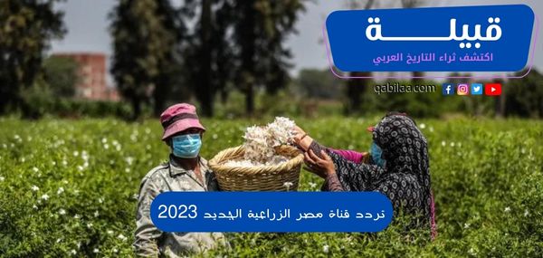 ثراء التاريخ العربي 2023 03 28T152116.888