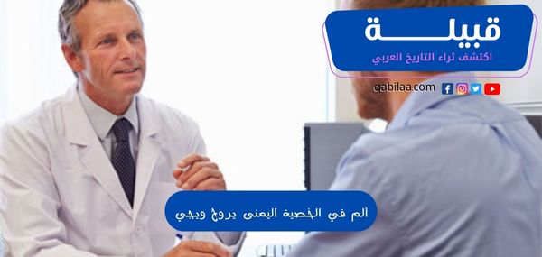 ثراء التاريخ العربي 2023 06 11T110105.429