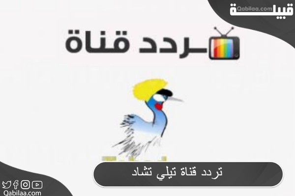 قناة تيلي تشاد