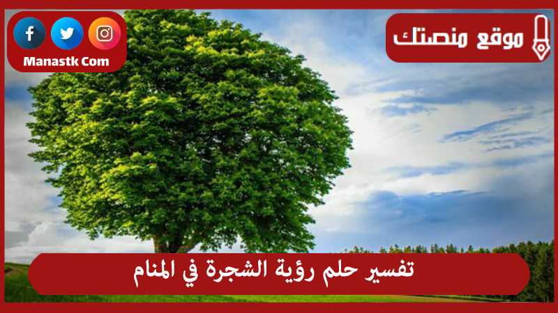 حلم رؤية الشجرة في المنام