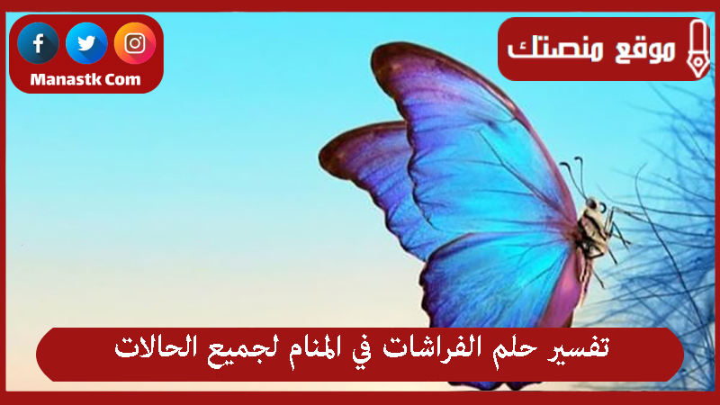 حلم رؤية الفراشة في المنام