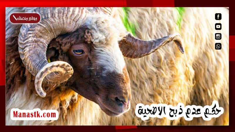 عدم ذبح الاضحية