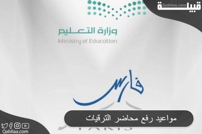 محاضر الترقيات 1 E1690334808306