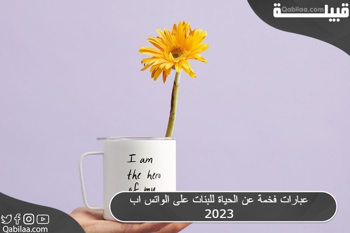 فخمة عن الحياة للبنات على الواتس اب 2023 3