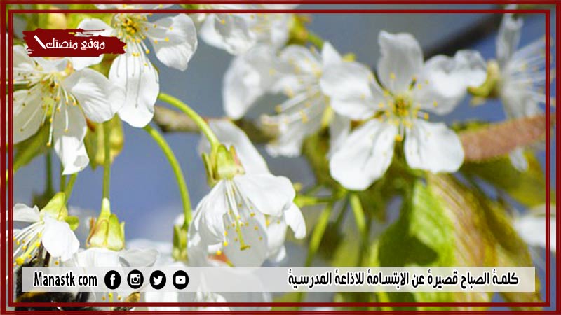 الصباح قصيرة عن الابتسامة للاذاعة المدرسية 2023