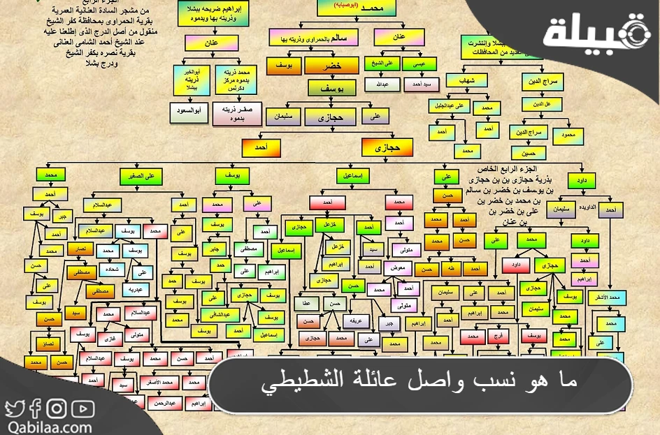 هو نسب واصل عائلة الشطيطي